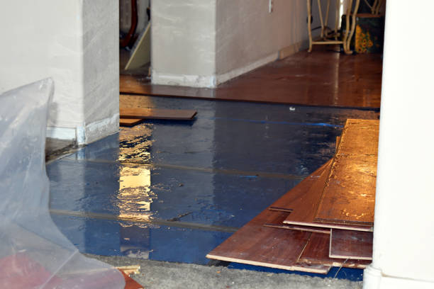 Professional Flood Cleanup technician working in Gilbertville, MA